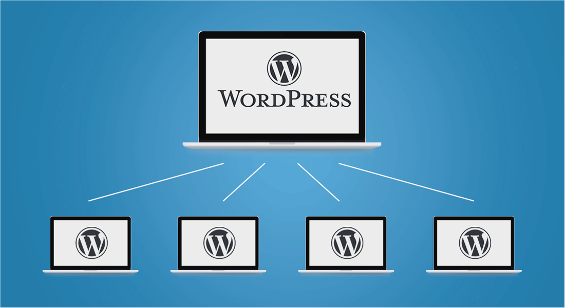 Mit WordPress Multisite mehrere Webseiten unter einer Domain verwalten
