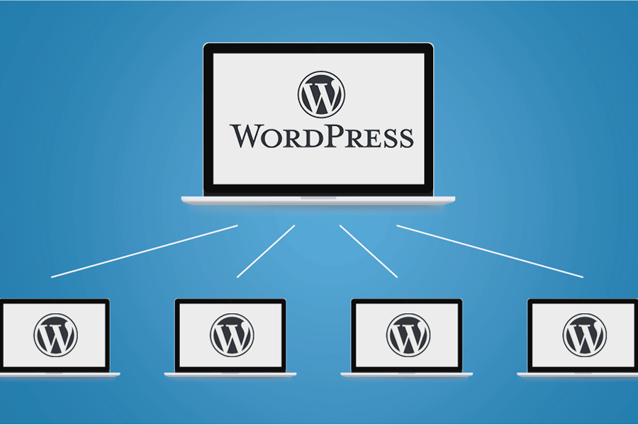 WordPress Multisite Grafik